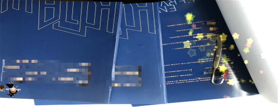 热熔封套蜜桃成品人视频入口